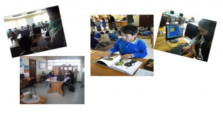 Biblioteca de Establecimiento Educacional